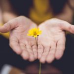 imatge els altres mans que ofereixen una flor