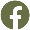 icona facebook
