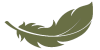 ploma verda