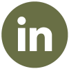 icona linkedin