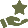 icona Valor afegit ma amb una estrella