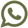 icona whatsapp